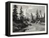 View of The Gorge-null-Framed Stretched Canvas