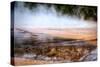 View of the Grand Prismatic Spring-Philip Bird-Stretched Canvas