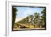 'View of the Grand Walk etc in Vauxhall Gardens taken from the Entrance', London, c1760-Edward Rooker-Framed Giclee Print