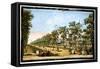 'View of the Grand Walk etc in Vauxhall Gardens taken from the Entrance', London, c1760-Edward Rooker-Framed Stretched Canvas