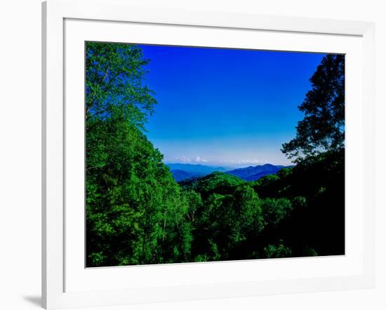 View of the Great Smoky Mountains National Park from Newfound Gap Road, Tennessee and North Caro...-null-Framed Photographic Print