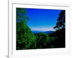 View of the Great Smoky Mountains National Park from Newfound Gap Road, Tennessee and North Caro...-null-Framed Photographic Print