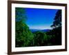 View of the Great Smoky Mountains National Park from Newfound Gap Road, Tennessee and North Caro...-null-Framed Photographic Print