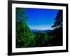 View of the Great Smoky Mountains National Park from Newfound Gap Road, Tennessee and North Caro...-null-Framed Photographic Print