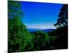 View of the Great Smoky Mountains National Park from Newfound Gap Road, Tennessee and North Caro...-null-Mounted Photographic Print
