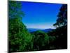 View of the Great Smoky Mountains National Park from Newfound Gap Road, Tennessee and North Caro...-null-Mounted Photographic Print