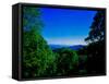 View of the Great Smoky Mountains National Park from Newfound Gap Road, Tennessee and North Caro...-null-Framed Stretched Canvas