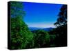 View of the Great Smoky Mountains National Park from Newfound Gap Road, Tennessee and North Caro...-null-Stretched Canvas