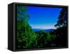 View of the Great Smoky Mountains National Park from Newfound Gap Road, Tennessee and North Caro...-null-Framed Stretched Canvas