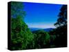 View of the Great Smoky Mountains National Park from Newfound Gap Road, Tennessee and North Caro...-null-Stretched Canvas