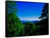 View of the Great Smoky Mountains National Park from Newfound Gap Road, Tennessee and North Caro...-null-Framed Stretched Canvas