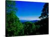 View of the Great Smoky Mountains National Park from Newfound Gap Road, Tennessee and North Caro...-null-Stretched Canvas