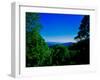 View of the Great Smoky Mountains National Park from Newfound Gap Road, Tennessee and North Caro...-null-Framed Photographic Print