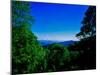 View of the Great Smoky Mountains National Park from Newfound Gap Road, Tennessee and North Caro...-null-Mounted Photographic Print