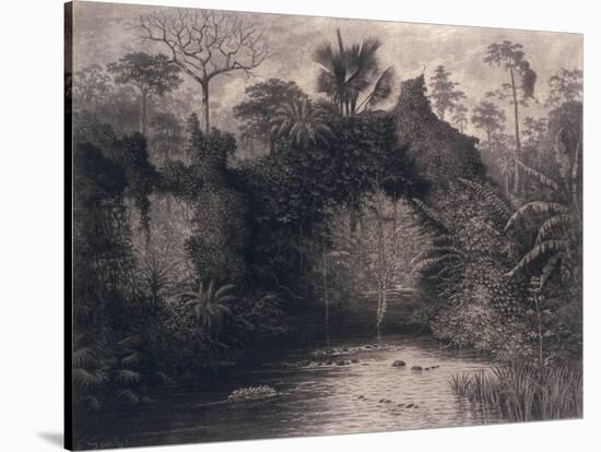 View of the Gulf of Biafra, West Africa, 1877-Emma Sandys-Stretched Canvas