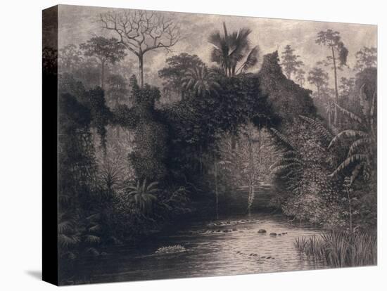 View of the Gulf of Biafra, West Africa, 1877-Emma Sandys-Stretched Canvas