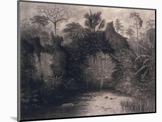 View of the Gulf of Biafra, West Africa, 1877-Emma Sandys-Mounted Giclee Print