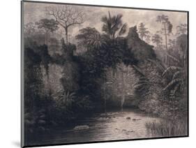 View of the Gulf of Biafra, West Africa, 1877-Emma Sandys-Mounted Giclee Print