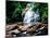 View of the Helton Creek Falls, Chattahoochee-Oconee National Forest, Georgia, USA-null-Mounted Photographic Print