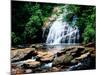 View of the Helton Creek Falls, Chattahoochee-Oconee National Forest, Georgia, USA-null-Mounted Photographic Print