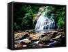 View of the Helton Creek Falls, Chattahoochee-Oconee National Forest, Georgia, USA-null-Framed Stretched Canvas