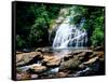 View of the Helton Creek Falls, Chattahoochee-Oconee National Forest, Georgia, USA-null-Framed Stretched Canvas