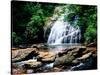 View of the Helton Creek Falls, Chattahoochee-Oconee National Forest, Georgia, USA-null-Stretched Canvas