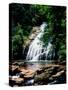 View of the Helton Creek Falls, Chattahoochee-Oconee National Forest, Georgia, USA-null-Stretched Canvas