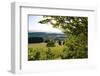 View of the Hoherodskopf, Vogelsberg, Hessen, Germany-Ernst Wrba-Framed Photographic Print