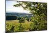 View of the Hoherodskopf, Vogelsberg, Hessen, Germany-Ernst Wrba-Mounted Photographic Print