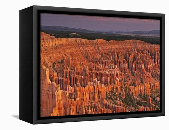 View of the Hoodoos or Eroded Rock Formations in Bryce Amphitheater, Bryce Canyon National Park-Dennis Flaherty-Framed Stretched Canvas