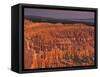 View of the Hoodoos or Eroded Rock Formations in Bryce Amphitheater, Bryce Canyon National Park-Dennis Flaherty-Framed Stretched Canvas