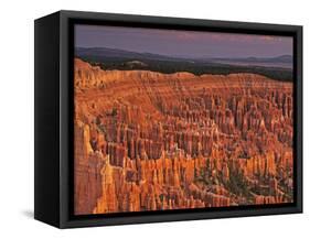 View of the Hoodoos or Eroded Rock Formations in Bryce Amphitheater, Bryce Canyon National Park-Dennis Flaherty-Framed Stretched Canvas