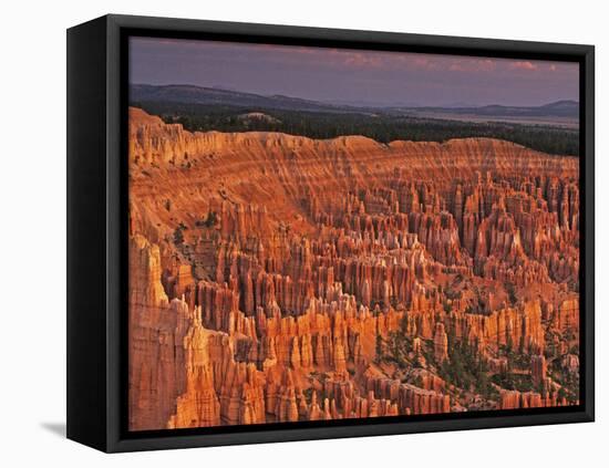 View of the Hoodoos or Eroded Rock Formations in Bryce Amphitheater, Bryce Canyon National Park-Dennis Flaherty-Framed Stretched Canvas