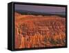 View of the Hoodoos or Eroded Rock Formations in Bryce Amphitheater, Bryce Canyon National Park-Dennis Flaherty-Framed Stretched Canvas