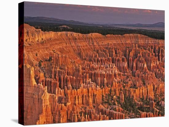 View of the Hoodoos or Eroded Rock Formations in Bryce Amphitheater, Bryce Canyon National Park-Dennis Flaherty-Stretched Canvas