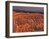 View of the Hoodoos or Eroded Rock Formations in Bryce Amphitheater, Bryce Canyon National Park-Dennis Flaherty-Framed Photographic Print