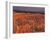 View of the Hoodoos or Eroded Rock Formations in Bryce Amphitheater, Bryce Canyon National Park-Dennis Flaherty-Framed Photographic Print