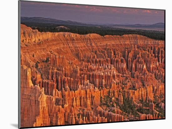 View of the Hoodoos or Eroded Rock Formations in Bryce Amphitheater, Bryce Canyon National Park-Dennis Flaherty-Mounted Photographic Print