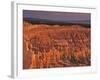 View of the Hoodoos or Eroded Rock Formations in Bryce Amphitheater, Bryce Canyon National Park-Dennis Flaherty-Framed Photographic Print