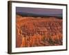 View of the Hoodoos or Eroded Rock Formations in Bryce Amphitheater, Bryce Canyon National Park-Dennis Flaherty-Framed Photographic Print