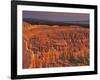 View of the Hoodoos or Eroded Rock Formations in Bryce Amphitheater, Bryce Canyon National Park-Dennis Flaherty-Framed Photographic Print