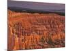 View of the Hoodoos or Eroded Rock Formations in Bryce Amphitheater, Bryce Canyon National Park-Dennis Flaherty-Mounted Photographic Print