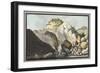 View of the Hot Spring-Pietro Fabris-Framed Giclee Print