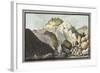 View of the Hot Spring-Pietro Fabris-Framed Giclee Print