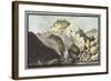 View of the Hot Spring-Pietro Fabris-Framed Giclee Print