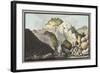 View of the Hot Spring-Pietro Fabris-Framed Giclee Print