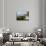 View of the Iguazu Falls, UNESCO World Heritage Site, Puerto Iguazu, Misiones, Argentina, South Ame-Karol Kozlowski-Photographic Print displayed on a wall