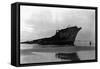 View of the Intrepid Shipwreck - Long Beach, WA-Lantern Press-Framed Stretched Canvas