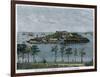 View of the Isle of Serpents, in the Bay of Rio De Janeiro, Brazil, C1880-null-Framed Giclee Print